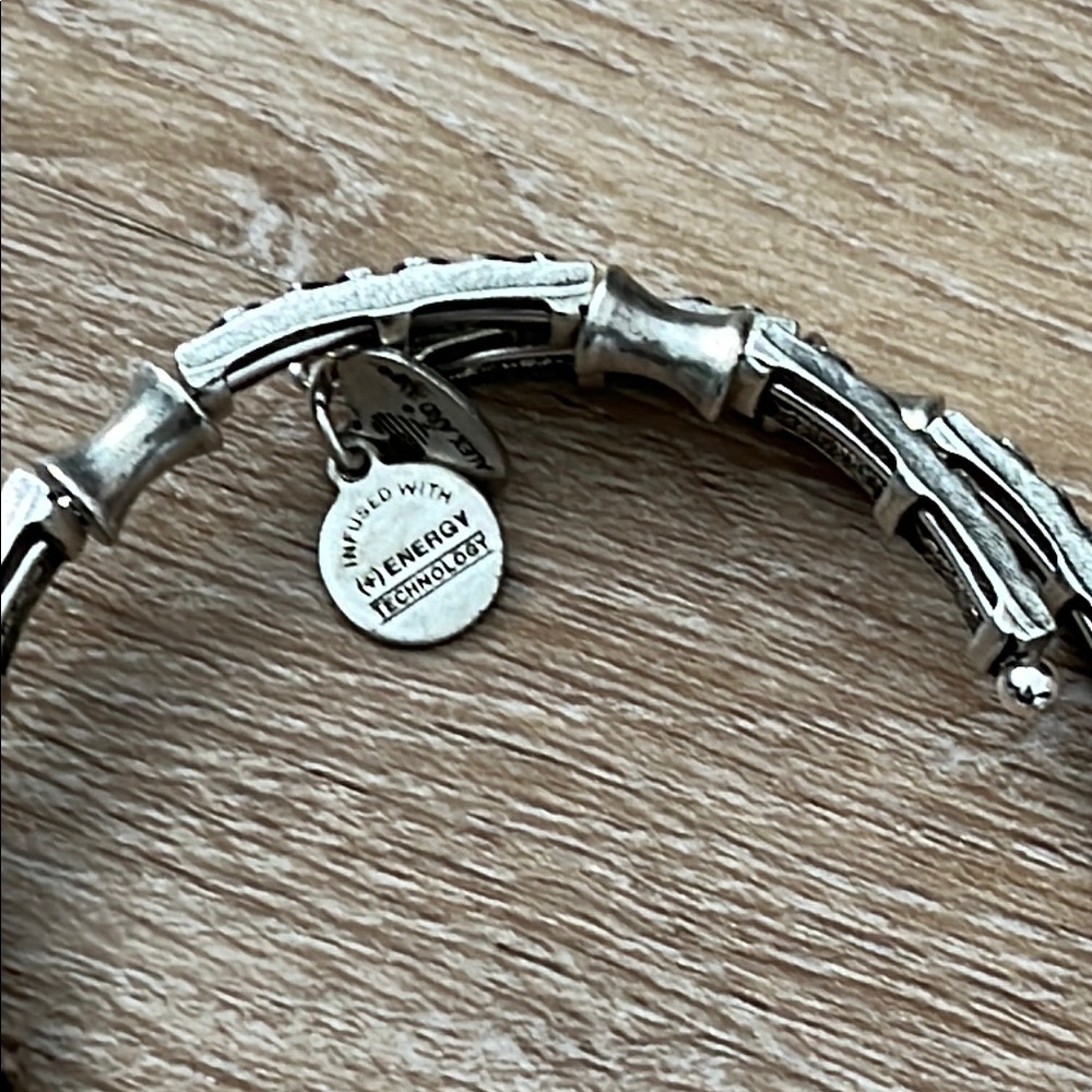Alex and Ani Silver XOXO Bracelet - Picture 4 of 8